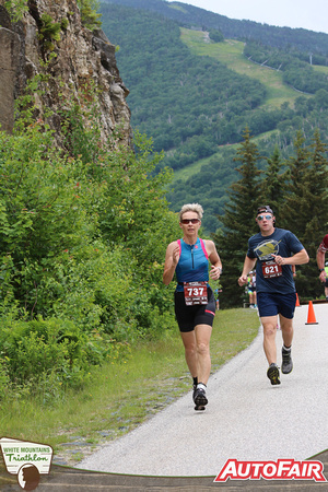 White Mountains Tri-32179