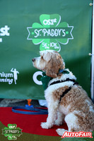 2025 St Paddy's 5k-10k-30017