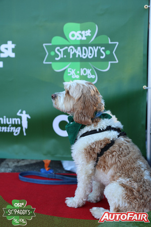 2025 St Paddy's 5k-10k-30017