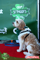 2025 St Paddy's 5k-10k-30016